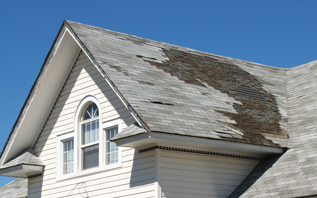 How to Spot Roof Damage Before It’s Too Late